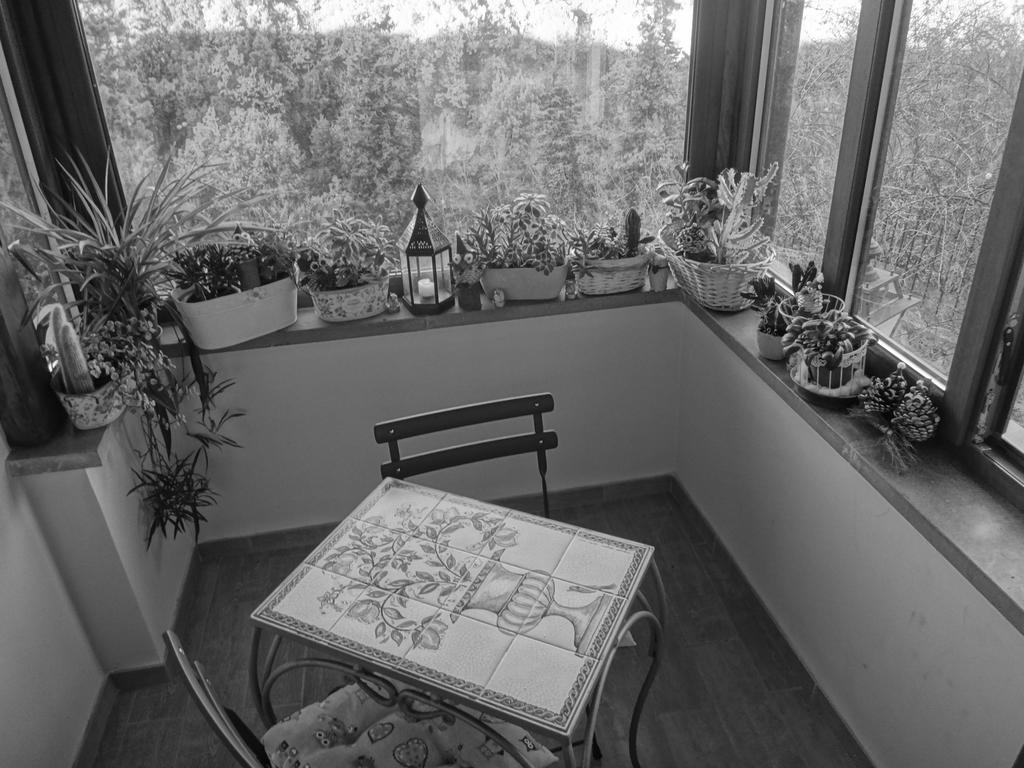 La Casetta Della Nonna Bagnoregio Pokój zdjęcie